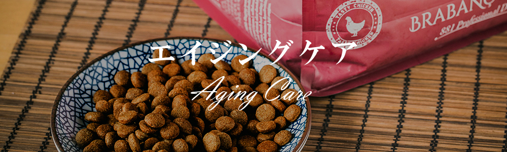 agingcare