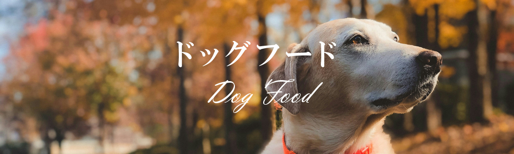 ドッグフード