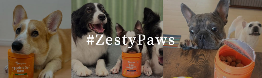 zesty_review.jpg