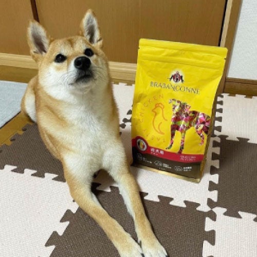 ブラバンソンヌ】小型犬・中型犬の成犬用 ドッグフード チキン 2.5kg
