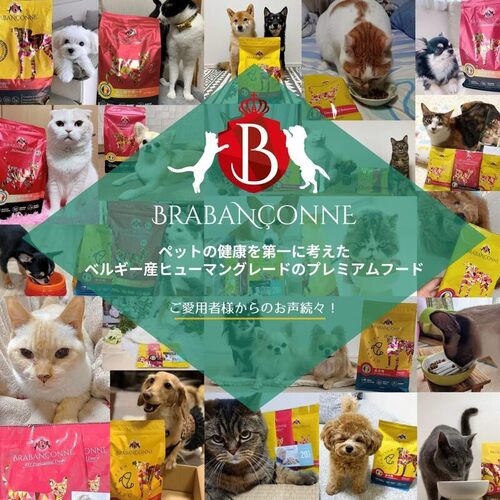 ブラバンソンヌ】小型犬・中型犬の成犬用 ドッグフード チキン 2.5kg