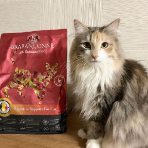 ブラバンソンヌ】消化器サポート 猫用 キャットフード オールステージ